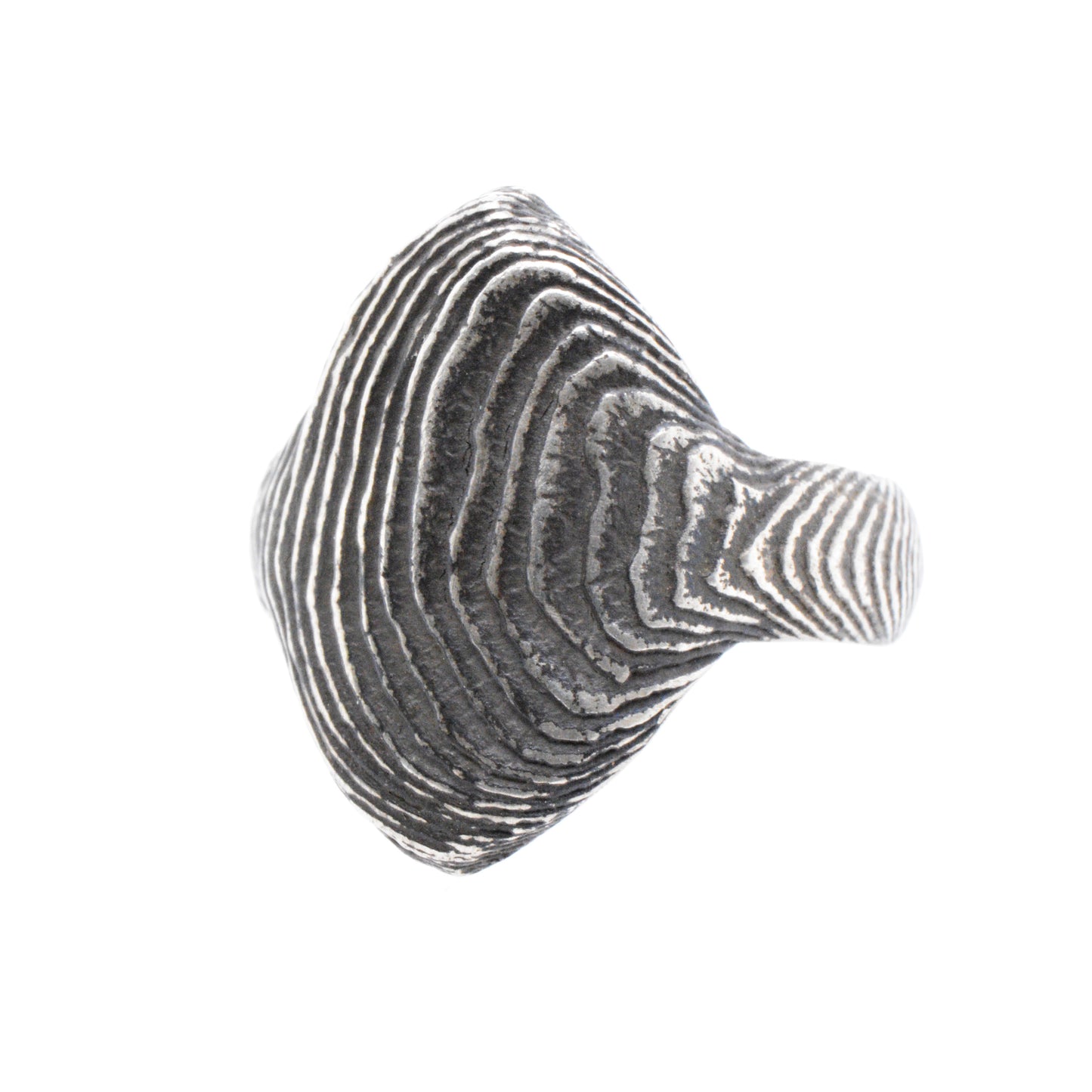 Cuttlebone Ring
